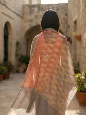 Ekat Grey & Red Sozni Motifs Embroidered Pashmina Shawl